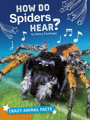 cover image of How Do Spiders Hear?